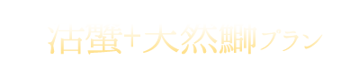 蟹+鰤プラン