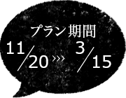 プラン期間